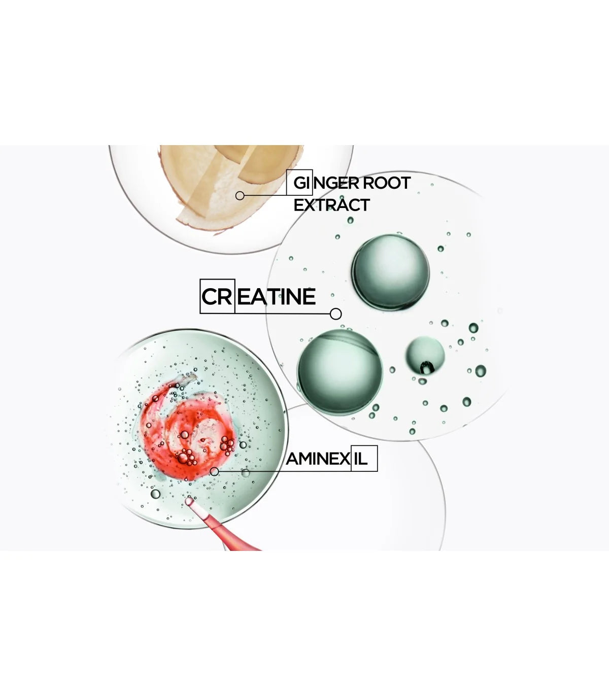 GENESIS H SH FORCE QUOTIDIEN 1000ML