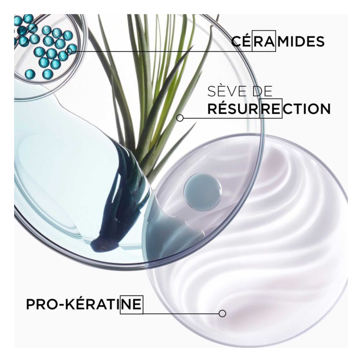 Kérastase - Résistance - Bain force architecte -  250 ML